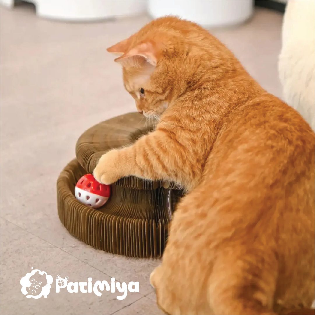 Akıllı Tırmalama ve Oyun Yatağı